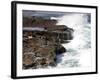 Cape of Good Hope, National Park, Near Cape Town, South Africa, Africa-Thorsten Milse-Framed Photographic Print