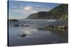 Cape Perpetua, Oregon.-Alan Majchrowicz-Stretched Canvas