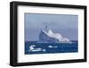 Cape Petrel Flying over Iceberg Near Coronation Island, South Orkney Islands, Antarctica-Michael Nolan-Framed Photographic Print