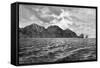 Cape Pillar, Tasman Peninsula, 1895-Barbant-Framed Stretched Canvas