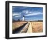 Cape Poge Lighthouse-Rezendes-Framed Art Print