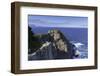 Cape Point, Cape Point National Park, Western Cape, South Africa, Africa-Ian Trower-Framed Photographic Print