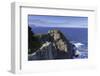 Cape Point, Cape Point National Park, Western Cape, South Africa, Africa-Ian Trower-Framed Photographic Print