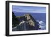 Cape Point, Cape Point National Park, Western Cape, South Africa, Africa-Ian Trower-Framed Photographic Print