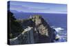 Cape Point, Cape Point National Park, Western Cape, South Africa, Africa-Ian Trower-Stretched Canvas