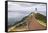 Cape Reinga Lighthouse (Te Rerenga Wairua Lighthouse), Aupouri Peninsula, Northland-Matthew Williams-Ellis-Framed Stretched Canvas