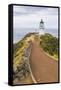 Cape Reinga Lighthouse (Te Rerenga Wairua Lighthouse), Aupouri Peninsula, Northland-Matthew Williams-Ellis-Framed Stretched Canvas