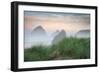 Cape Sebastian-Dennis Frates-Framed Art Print