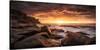 Cape Solander-null-Stretched Canvas