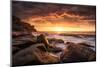 Cape Solander-Grant Galbraith-Mounted Photographic Print