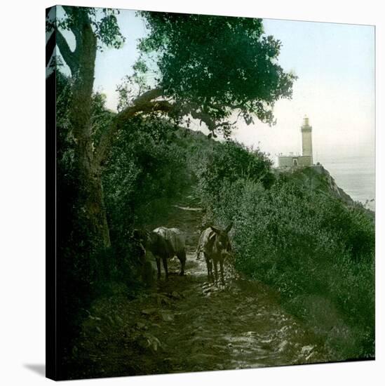 Cape Spartel, Tangier (Morocco), Circa 1885-Leon, Levy et Fils-Stretched Canvas