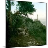 Cape Spartel, Tangier (Morocco), Circa 1885-Leon, Levy et Fils-Mounted Photographic Print