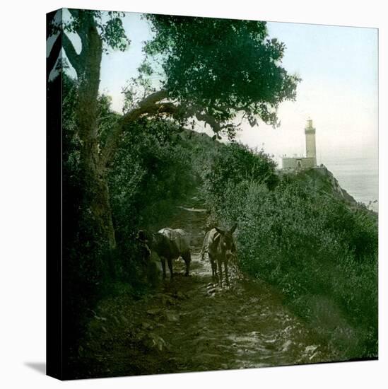 Cape Spartel, Tangier (Morocco), Circa 1885-Leon, Levy et Fils-Stretched Canvas