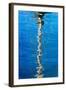 Cape Town, Harbour, Reflexion of a Mast-Catharina Lux-Framed Photographic Print