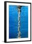 Cape Town, Harbour, Reflexion of a Mast-Catharina Lux-Framed Photographic Print