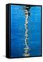 Cape Town, Harbour, Reflexion of a Mast-Catharina Lux-Framed Stretched Canvas