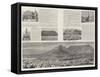 Cape Town Illustrated-null-Framed Stretched Canvas