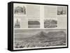 Cape Town Illustrated-null-Framed Stretched Canvas