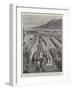 Cape Town's Last Farewell to Cecil Rhodes-G.S. Amato-Framed Giclee Print