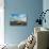 Cape Town, Table Mountain, Coast-Catharina Lux-Stretched Canvas displayed on a wall