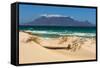 Cape Town, Table Mountain, Dune-Catharina Lux-Framed Stretched Canvas