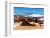 Cape Town, Table Mountain, State of Nature-Catharina Lux-Framed Photographic Print