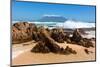 Cape Town, Table Mountain, State of Nature-Catharina Lux-Mounted Photographic Print