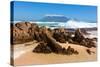 Cape Town, Table Mountain, State of Nature-Catharina Lux-Stretched Canvas