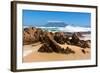 Cape Town, Table Mountain, State of Nature-Catharina Lux-Framed Photographic Print