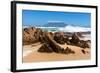 Cape Town, Table Mountain, State of Nature-Catharina Lux-Framed Photographic Print