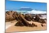 Cape Town, Table Mountain, State of Nature-Catharina Lux-Mounted Photographic Print