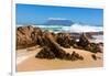 Cape Town, Table Mountain, State of Nature-Catharina Lux-Framed Photographic Print