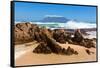 Cape Town, Table Mountain, State of Nature-Catharina Lux-Framed Stretched Canvas