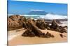 Cape Town, Table Mountain, State of Nature-Catharina Lux-Stretched Canvas