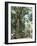 Cape Tribulation National Park, Queensland, Australia-Amanda Hall-Framed Photographic Print