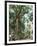 Cape Tribulation National Park, Queensland, Australia-Amanda Hall-Framed Photographic Print