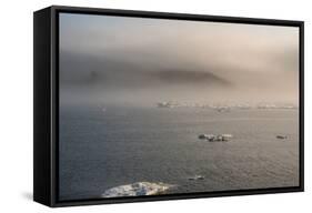 Cape Waring-Gabrielle and Michel Therin-Weise-Framed Stretched Canvas