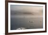 Cape Waring-Gabrielle and Michel Therin-Weise-Framed Photographic Print