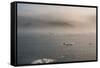 Cape Waring-Gabrielle and Michel Therin-Weise-Framed Stretched Canvas