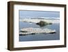 Cape Waring-Gabrielle and Michel Therin-Weise-Framed Photographic Print