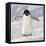 Cape Washington, Antarctica. Adelie Penguin Walks Forward-Janet Muir-Framed Stretched Canvas