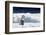 Cape Washington, Antarctica. An Emperor Penguin Chick with Heart-Janet Muir-Framed Photographic Print