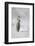 Cape Washington, Antarctica. an Emperor Penguin Chick-Janet Muir-Framed Photographic Print