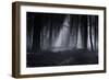 Capela Forest-Julien Oncete-Framed Photographic Print