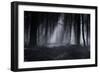 Capela Forest-Julien Oncete-Framed Photographic Print