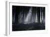 Capela Forest-Julien Oncete-Framed Photographic Print