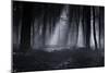 Capela Forest-Julien Oncete-Mounted Photographic Print