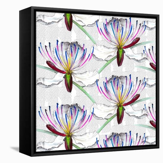 Caper flowers, 2017-Andrew Watson-Framed Stretched Canvas