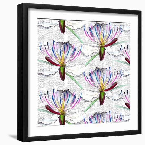 Caper flowers, 2017-Andrew Watson-Framed Giclee Print