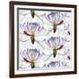 Caper flowers, 2017-Andrew Watson-Framed Giclee Print